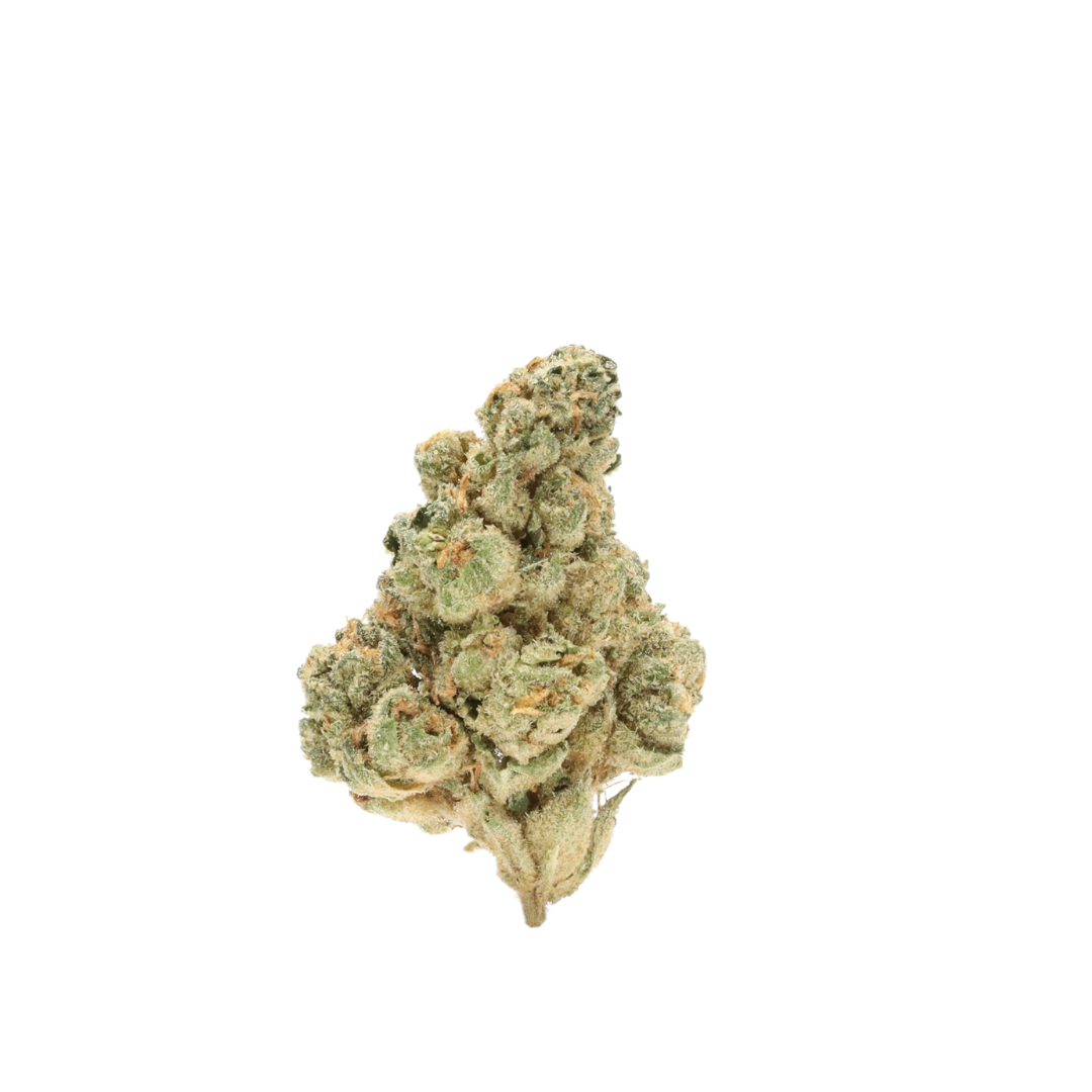 0001 bud