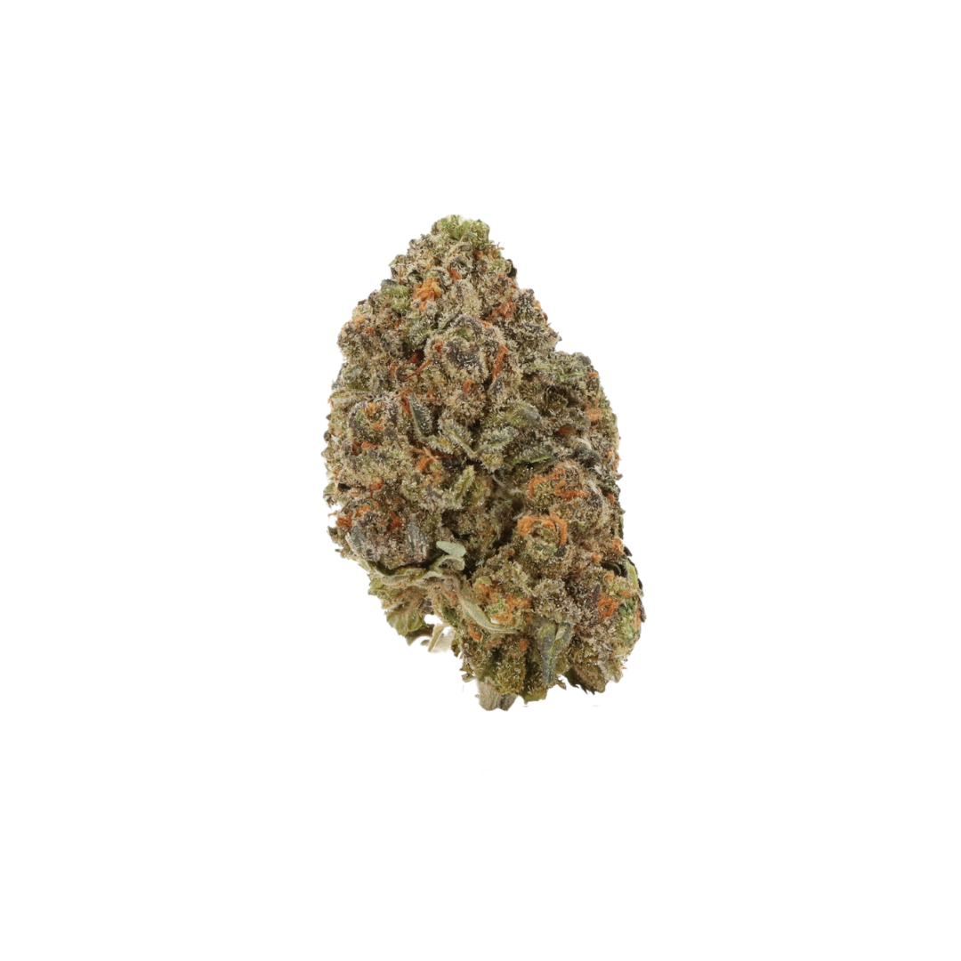 0002 bud