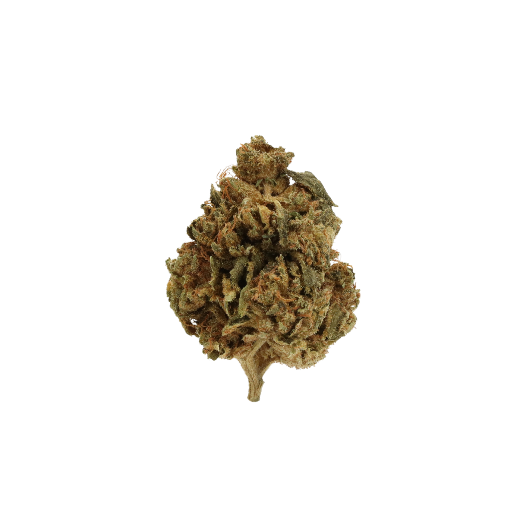 0003 bud