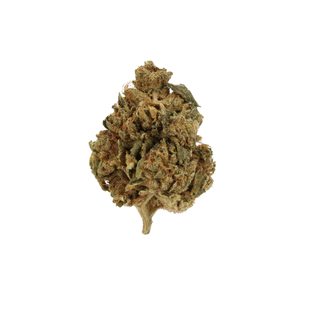 0004 bud