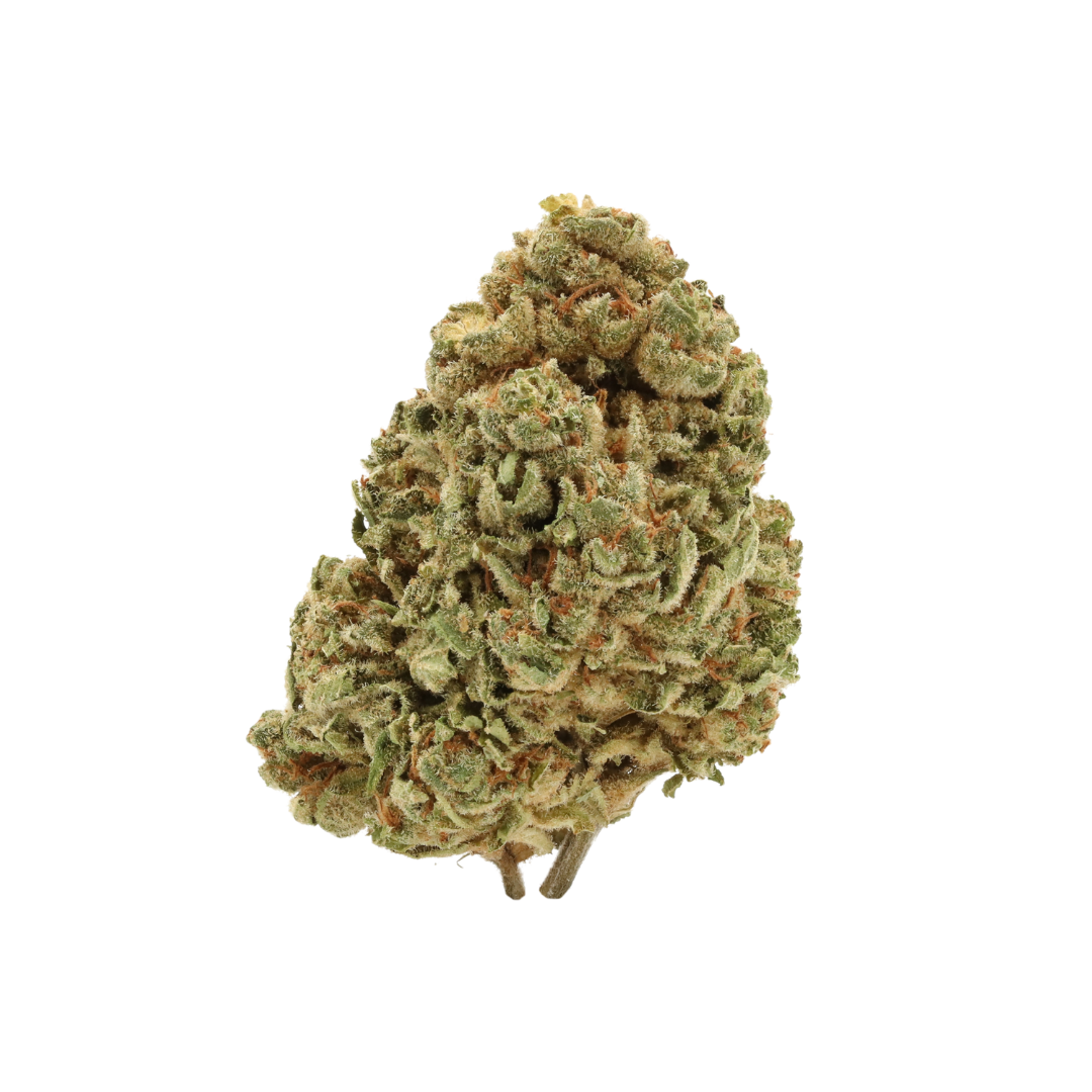 0005 bud