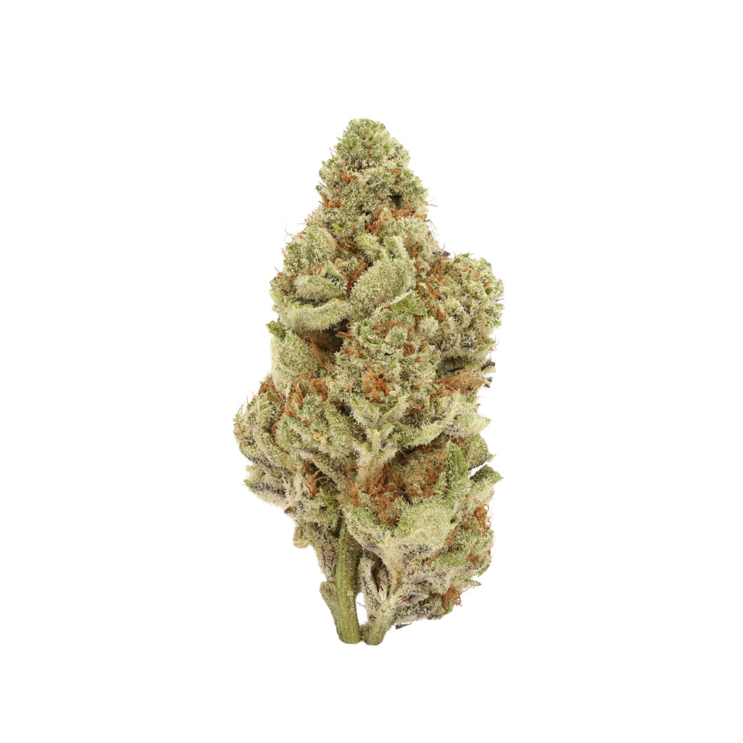 0010 bud