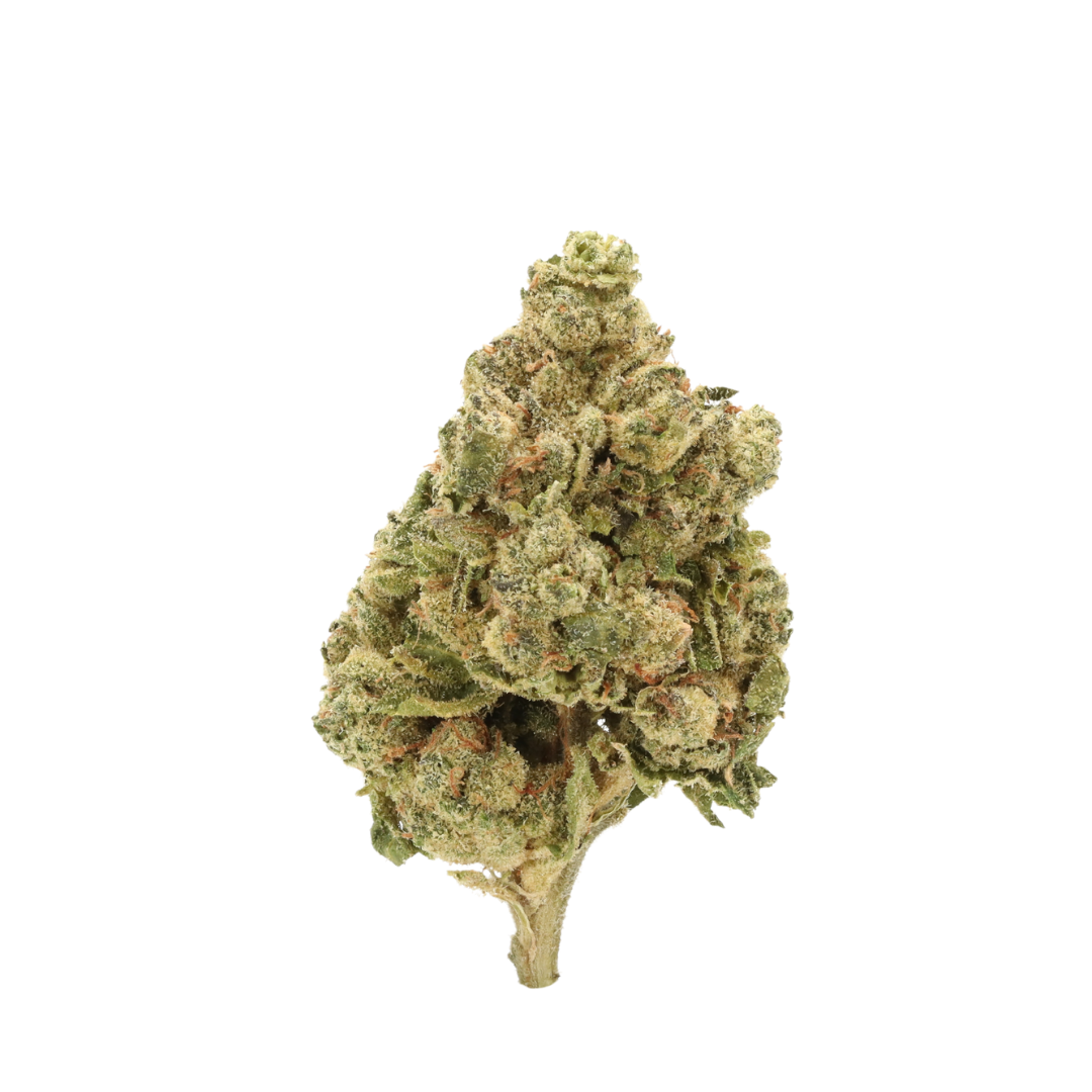 0011 bud