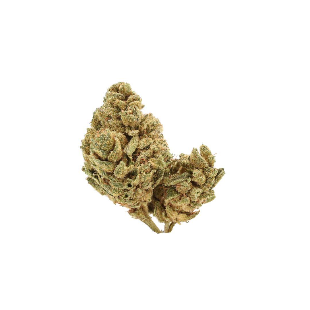 0014 bud