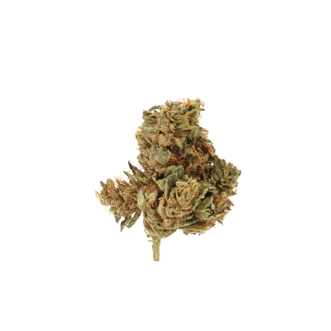 0015 bud