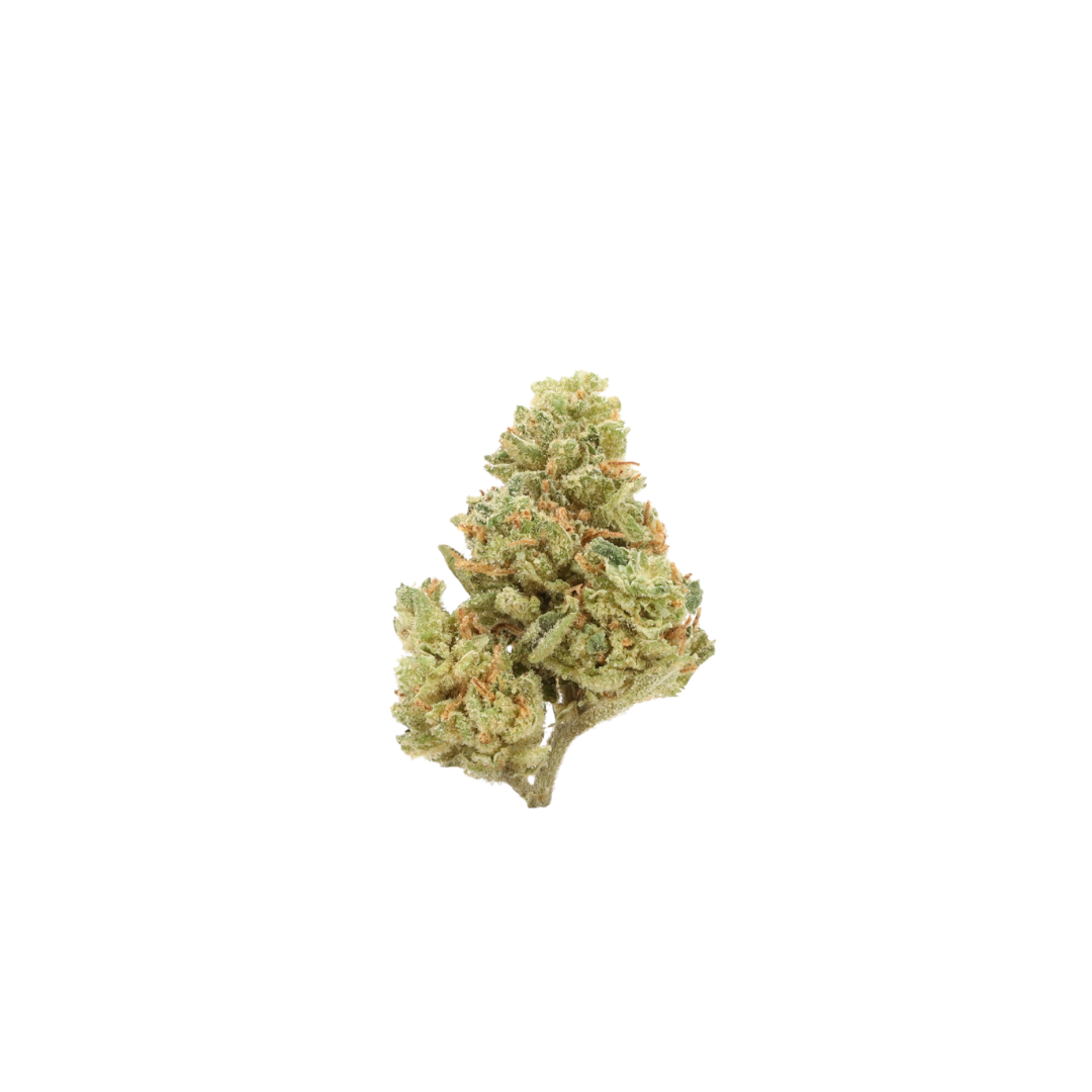 0017 bud