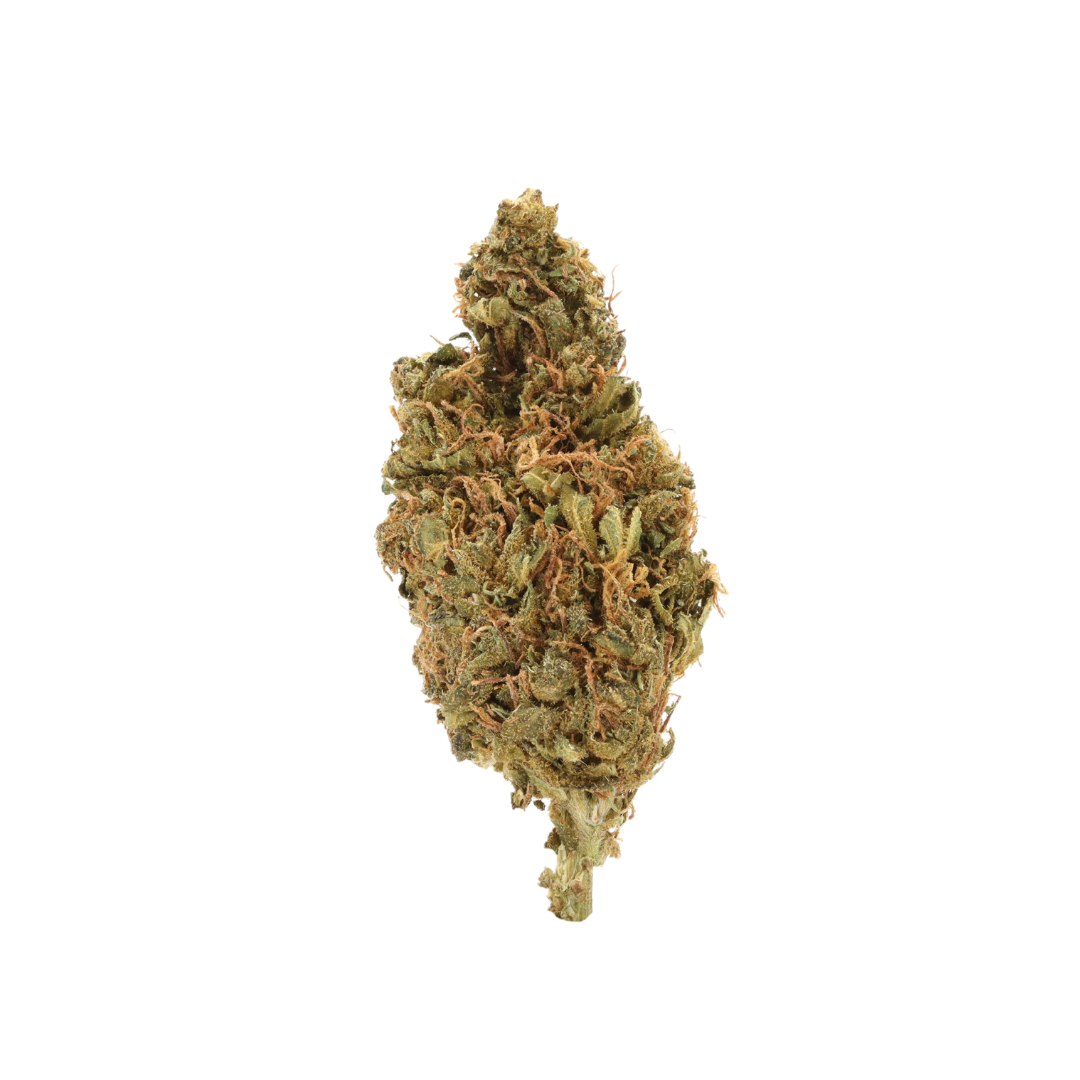 0023 bud