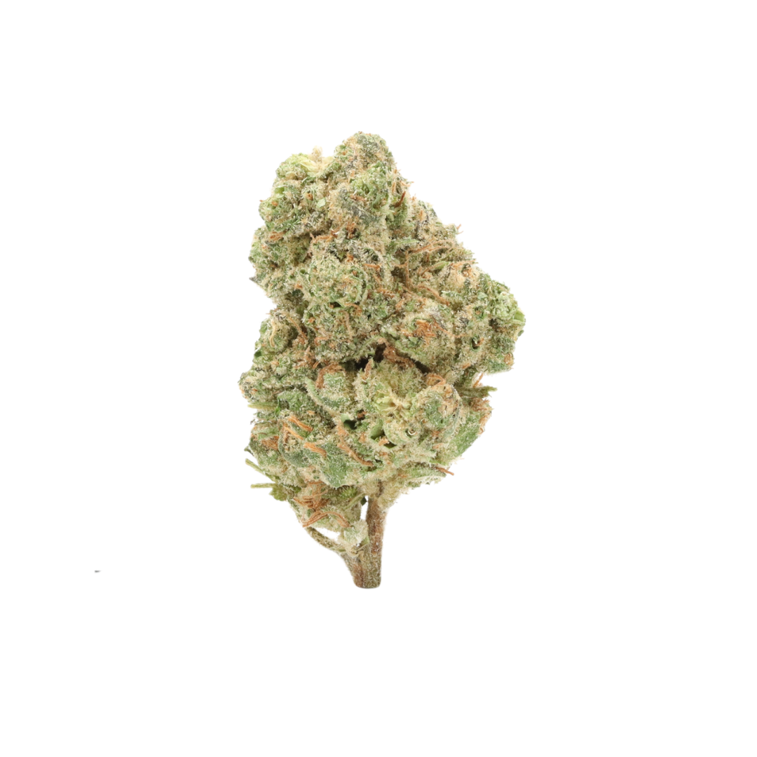 0024 bud