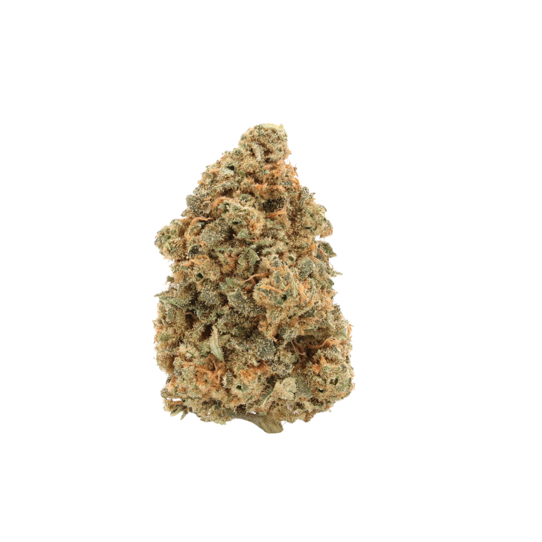 0028 bud