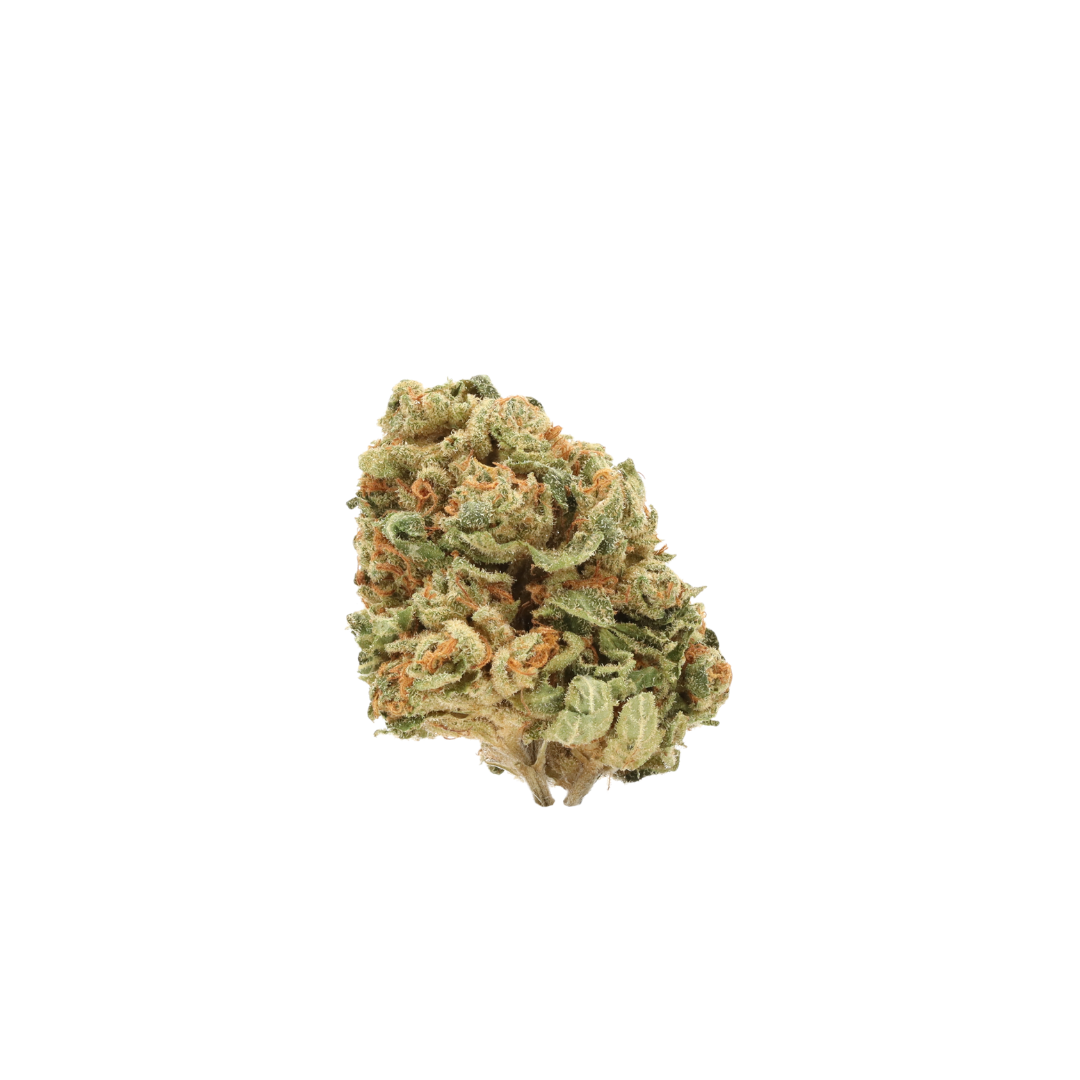 0030 bud