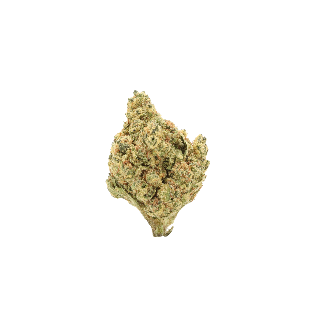 0032 bud