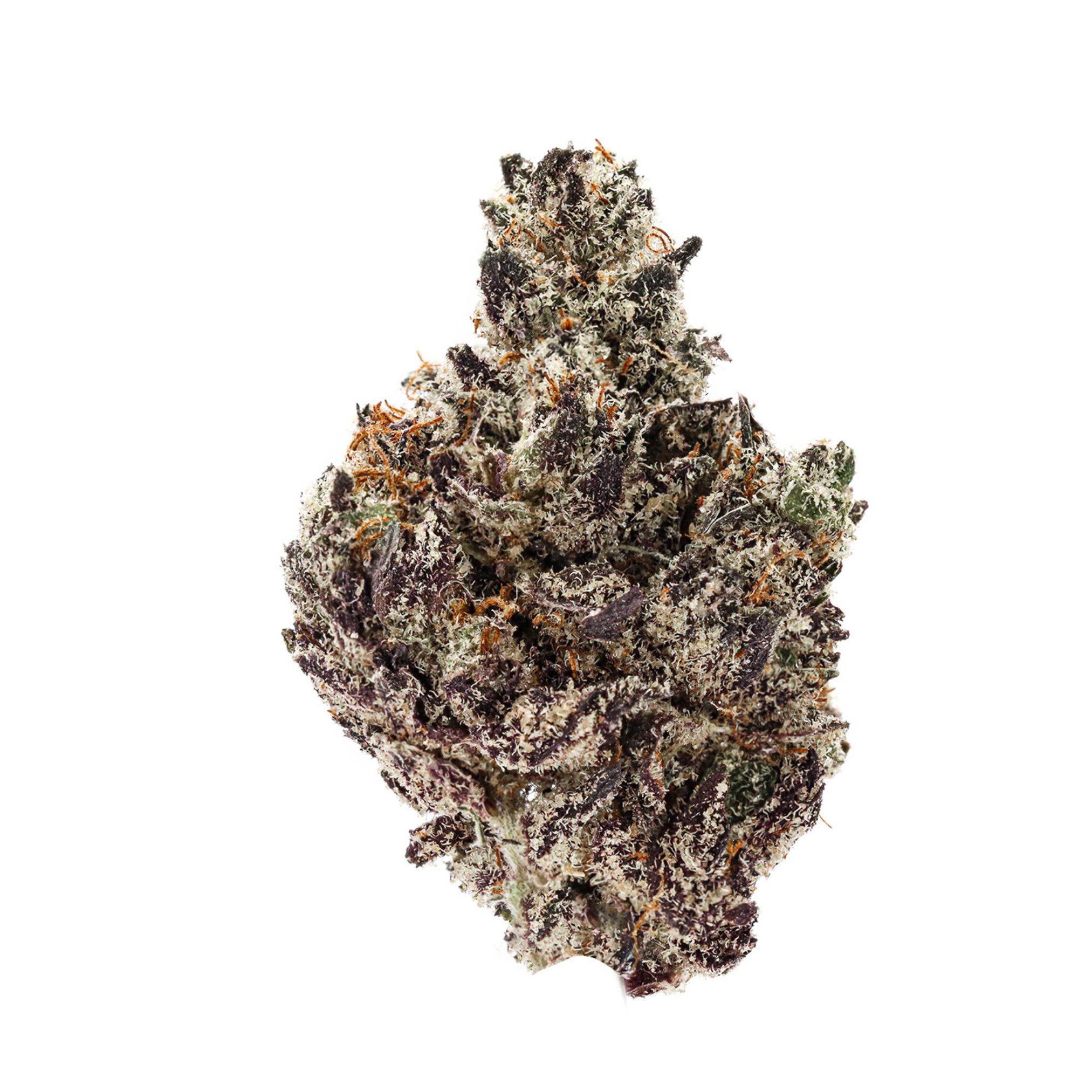 Purple Urkle
